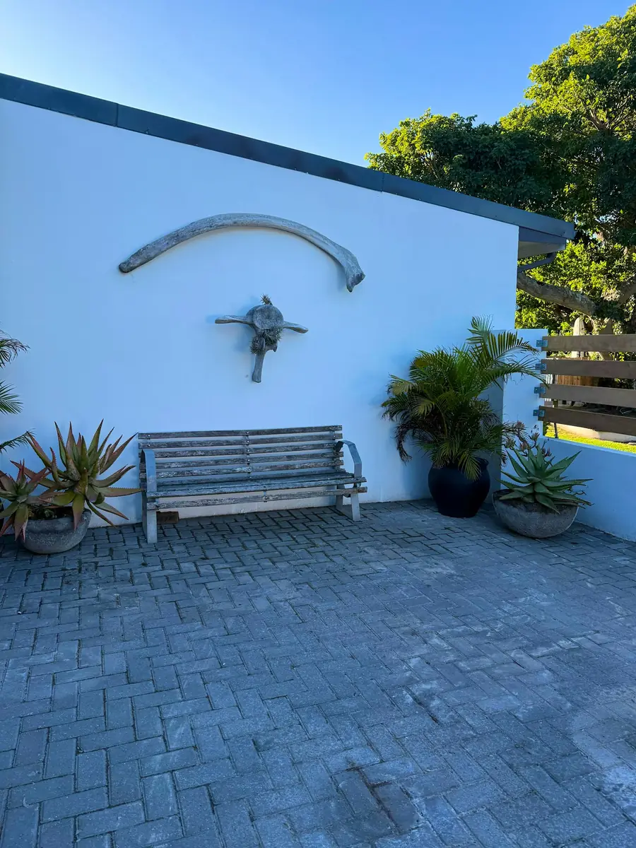 Freedom at RElaxed City Living