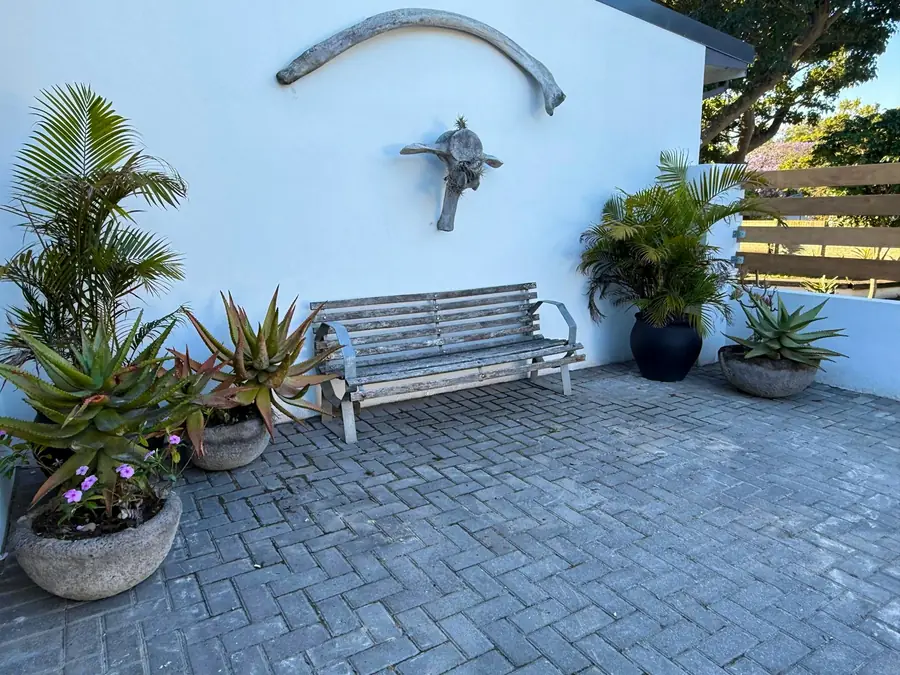 Freedom at RElaxed City Living