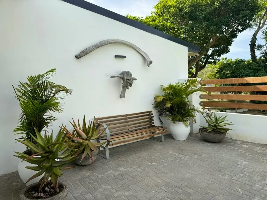 Freedom at RElaxed City Living